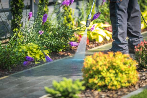 Best Gas Station Cleaning  in Brentwood, NY