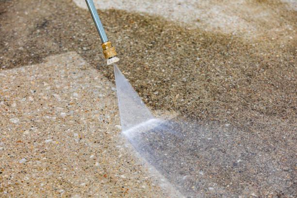 Best Soft Washing  in Brentwood, NY